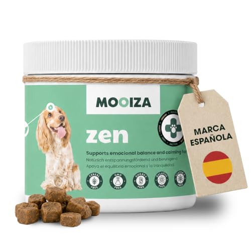 B0BLSZTM2W